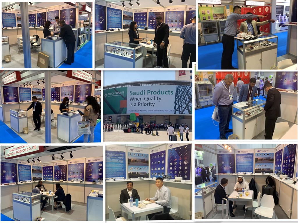 2018 The big5 Show Dubai.jpg